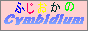 清水洋蘭のSweet Orchid's Melody