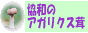 ãAKNX吶I̔X